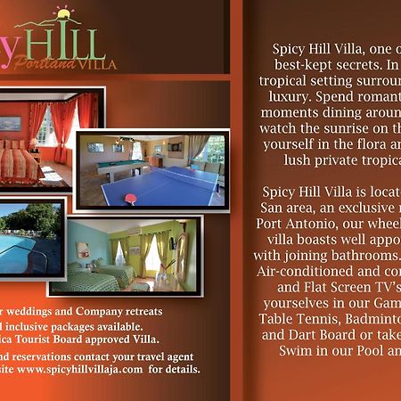 Spicy Hill Villa Порт-Антонио Номер фото